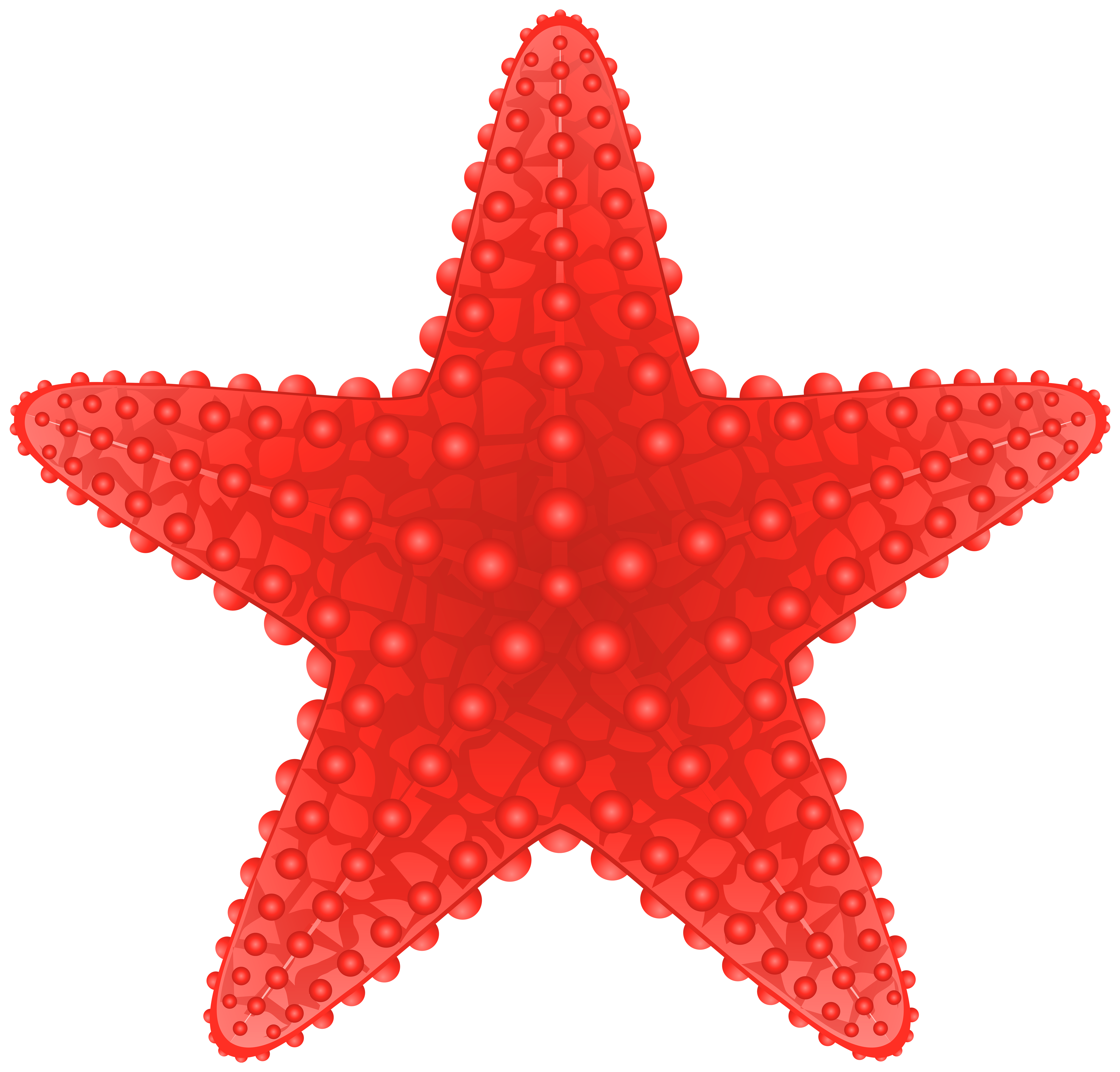 clipart summer starfish