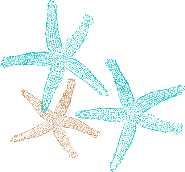 Starfish clipart aqua.  collection of turquoise