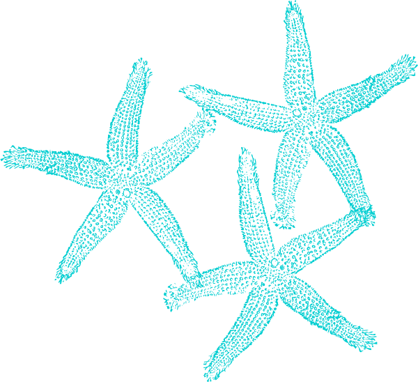 Clip art at clker. Starfish clipart aqua