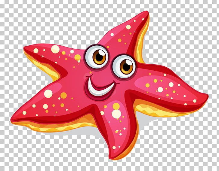 starfish clipart aquatic animal
