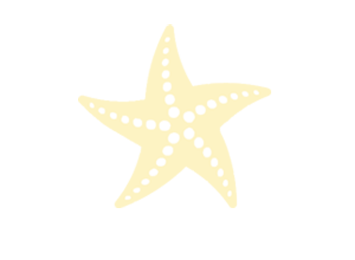 starfish clipart banner