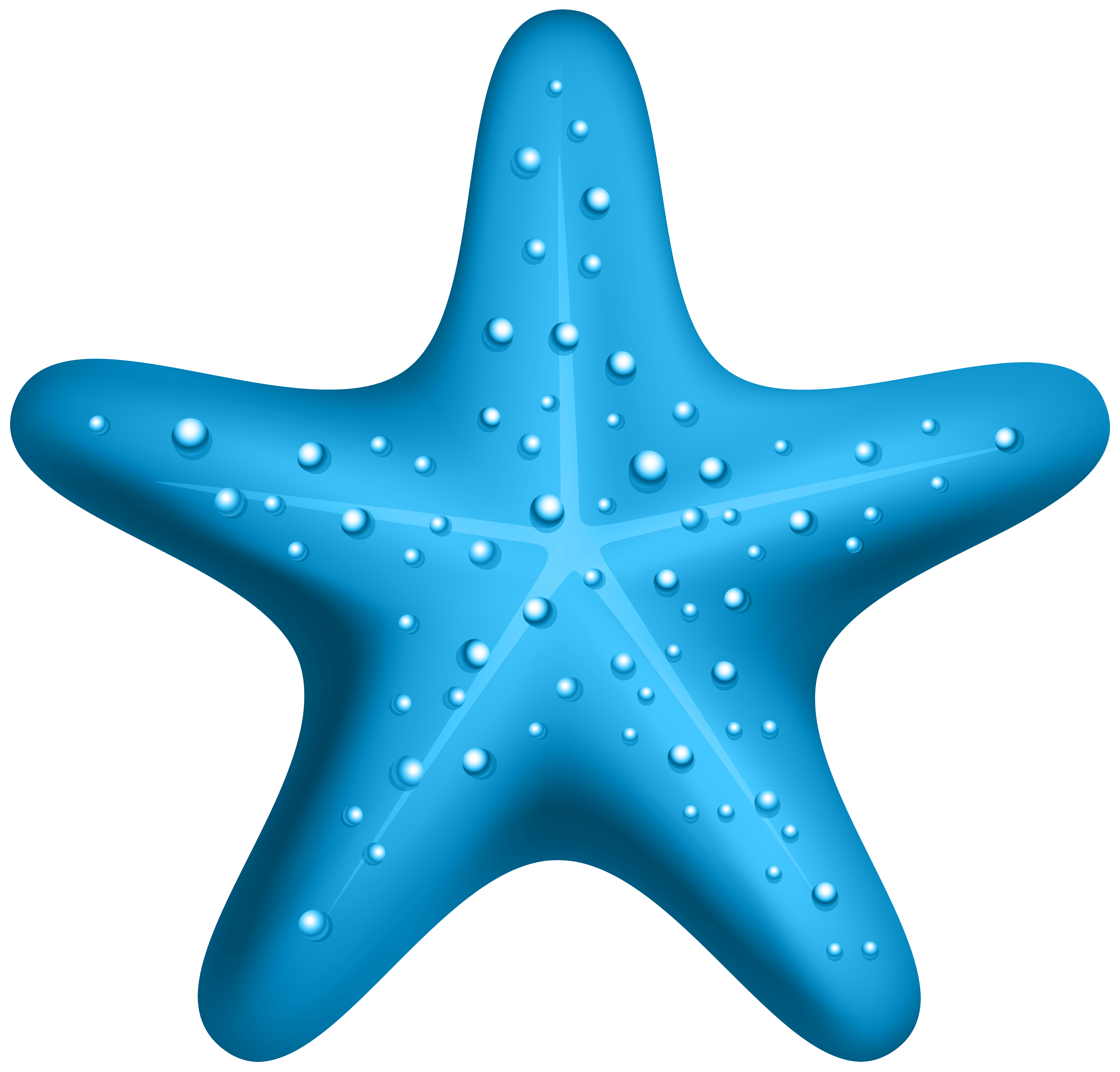 starfish clipart blue starfish
