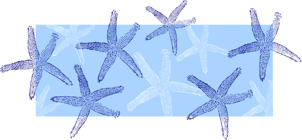 starfish clipart border
