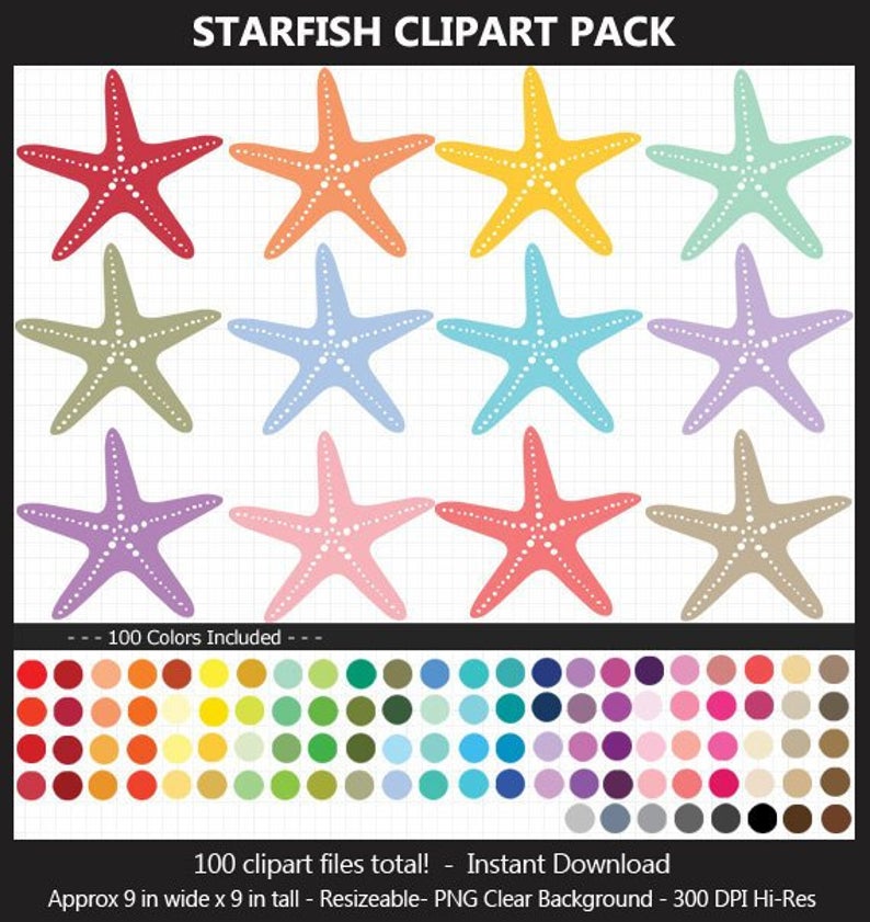 starfish clipart colorful
