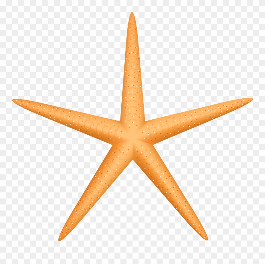 starfish clipart cute yellow