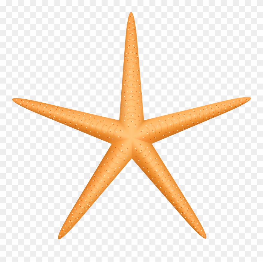 Png clip art transparent. Starfish clipart cute yellow