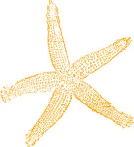 starfish clipart gold starfish
