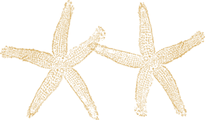 starfish clipart gold starfish