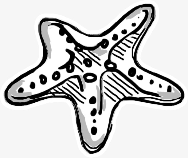 starfish clipart hand painted