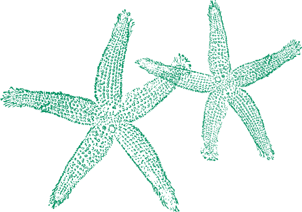 Starfish clipart happy starfish. Clip art at clker