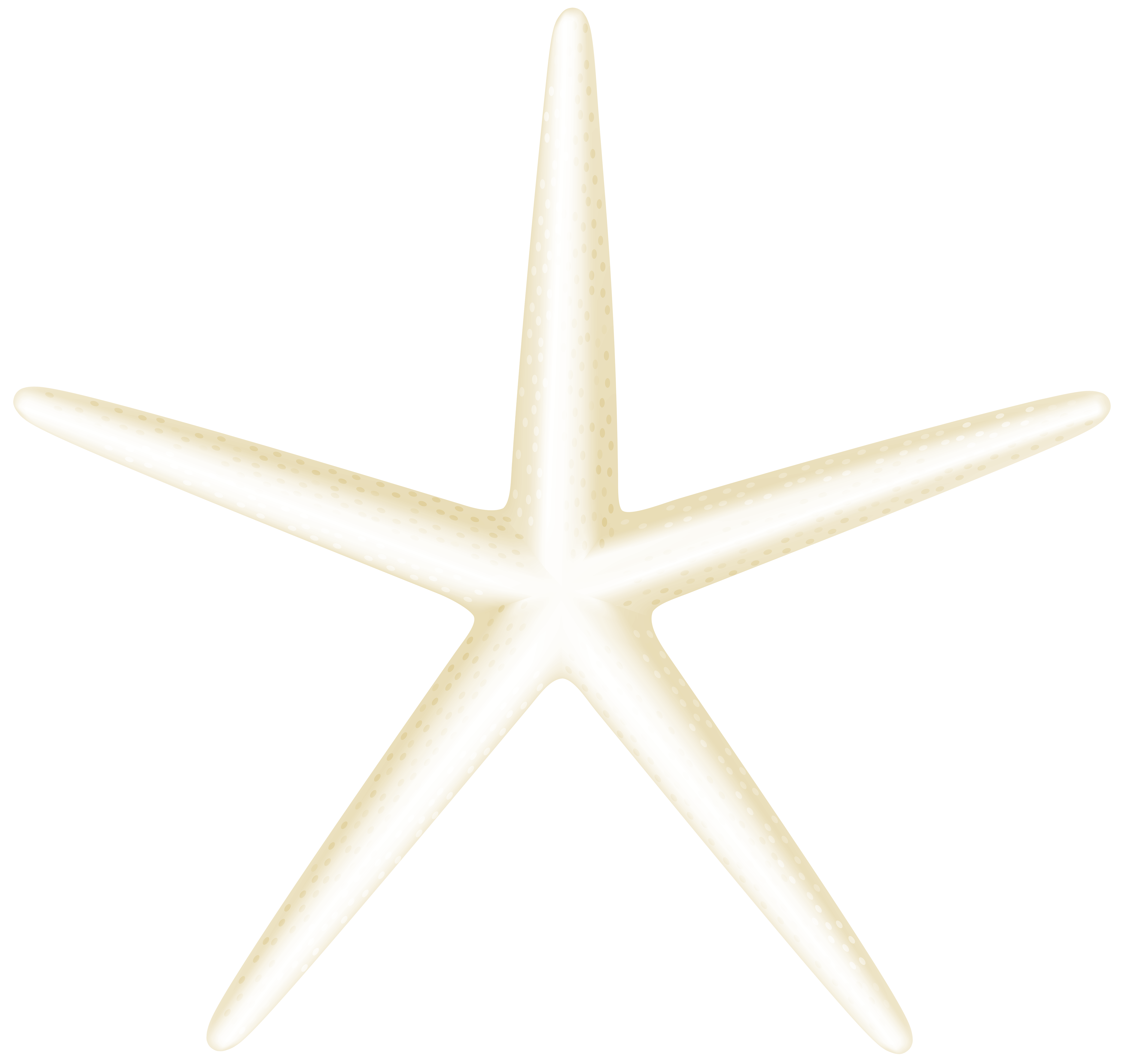 Transparent clip art png. Starfish clipart happy starfish