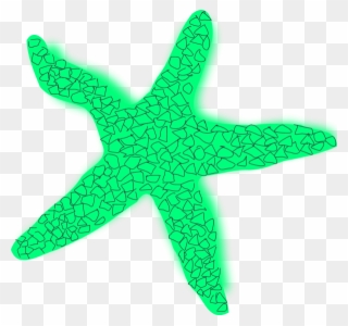 Free png clip art. Starfish clipart normal