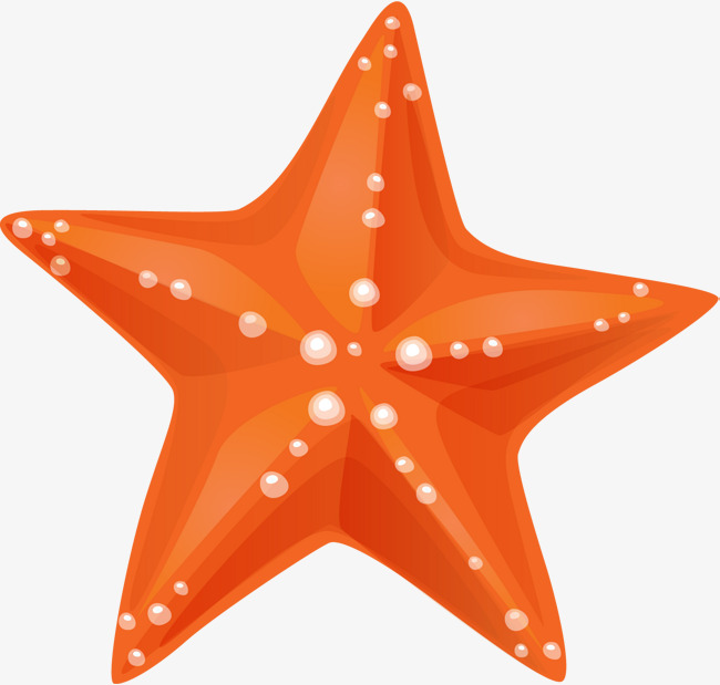 Starfish clipart orange starfish, Picture 3173079 starfish clipart