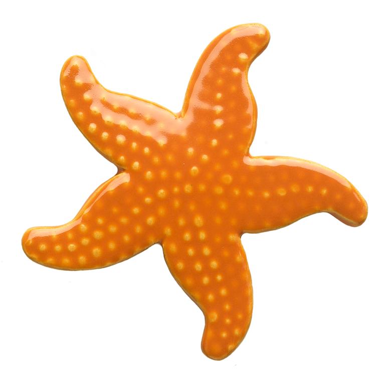 starfish clipart orange starfish