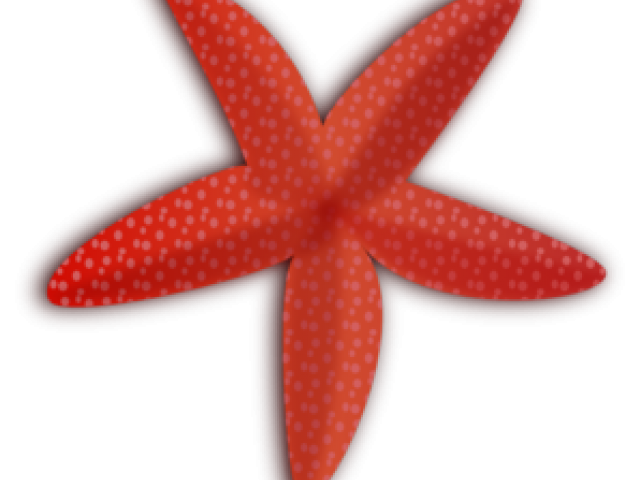 starfish clipart ornate