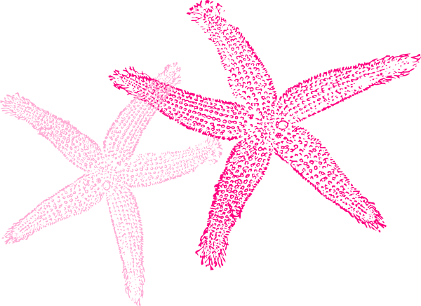 starfish clipart pink starfish