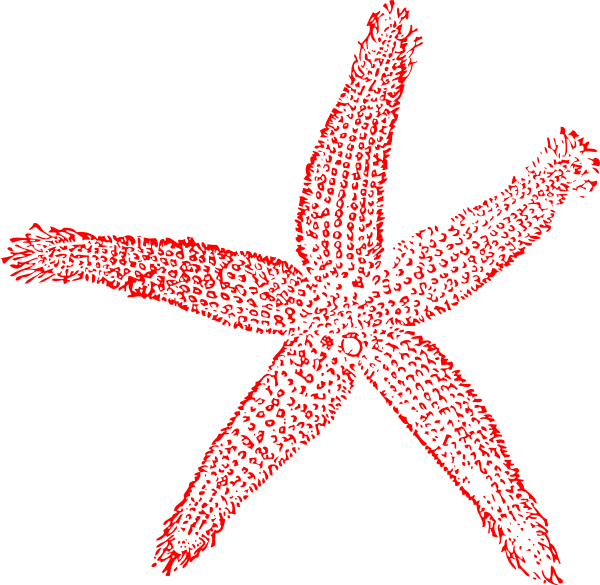 starfish clipart red starfish