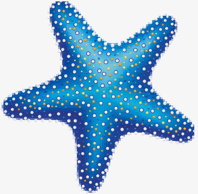 Starfish clipart sandy. Shipwrecked vbs 
