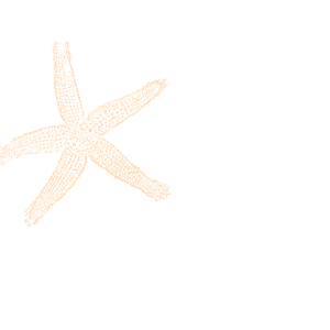 Cliparts of free . Starfish clipart sandy