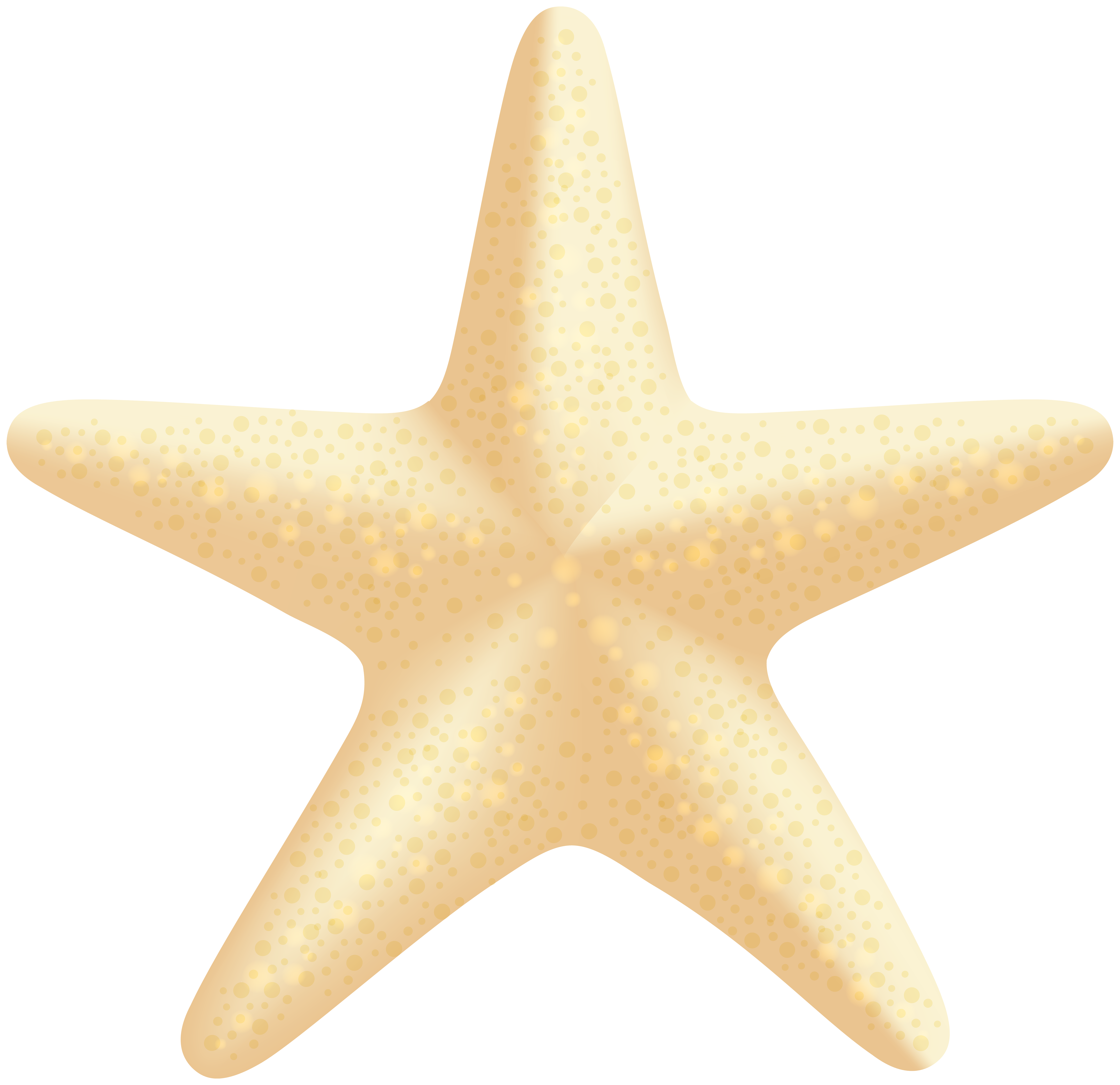 Starfish clipart free download on WebStockReview