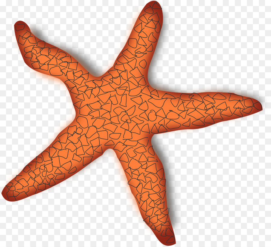 Starfish clipart sea star. 