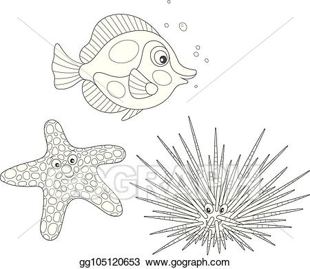 starfish clipart sea urchin