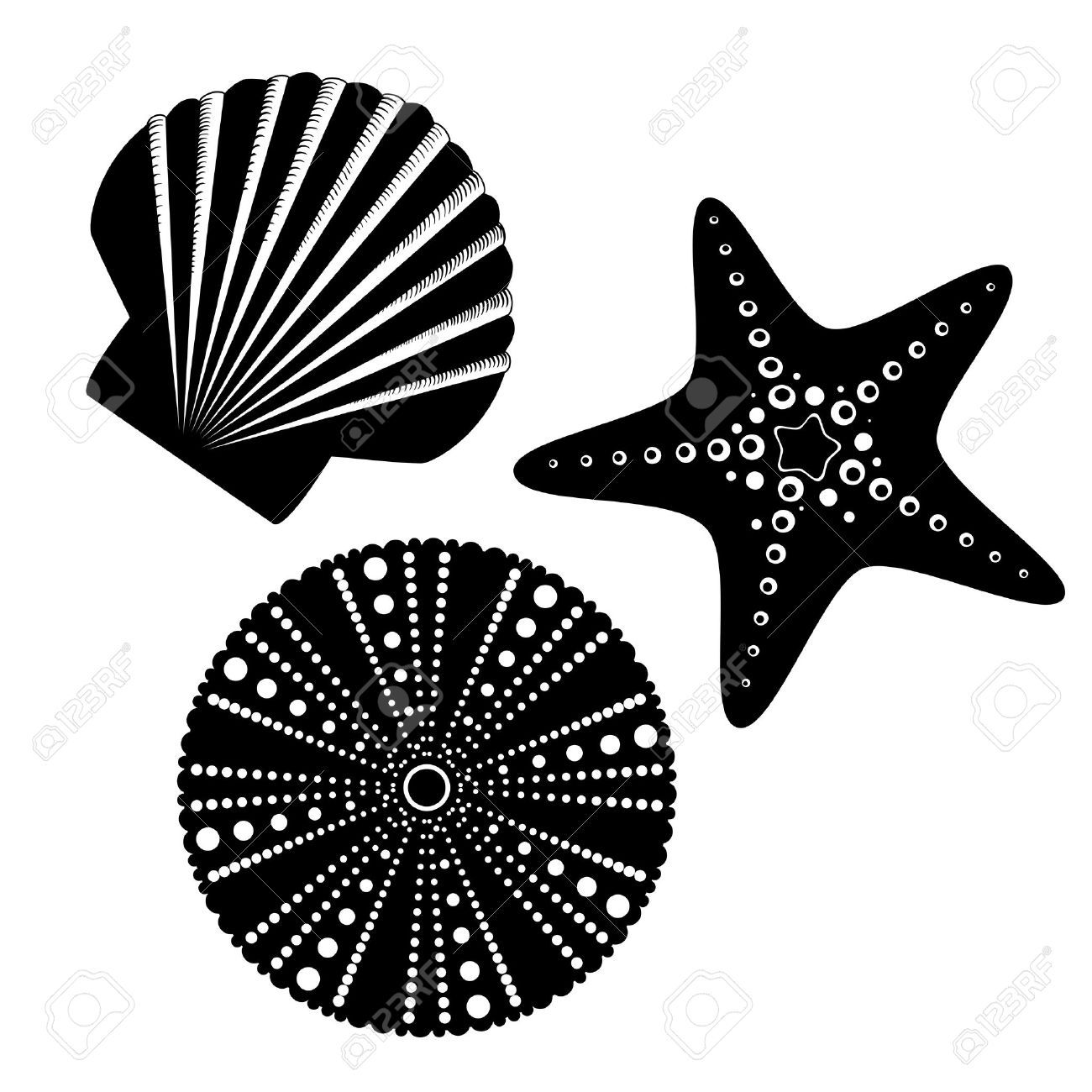 starfish clipart sea urchin