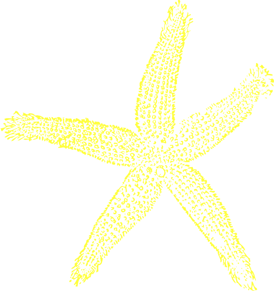 Yellow frames illustrations hd. Starfish clipart seahorse