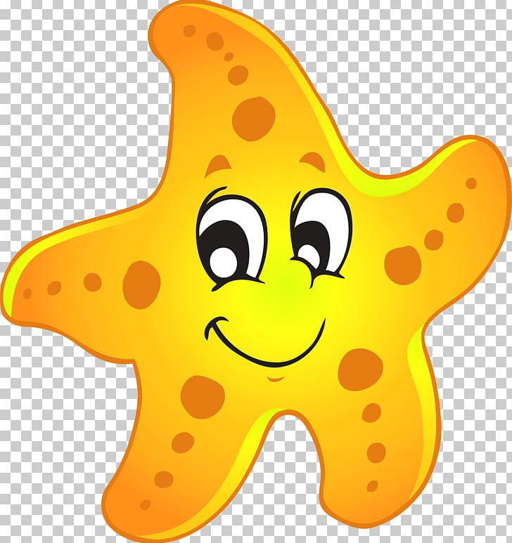A sea star png. Starfish clipart seahorse