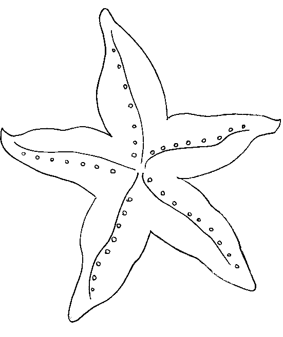 Starfish clipart simple. Gallery for outline florida