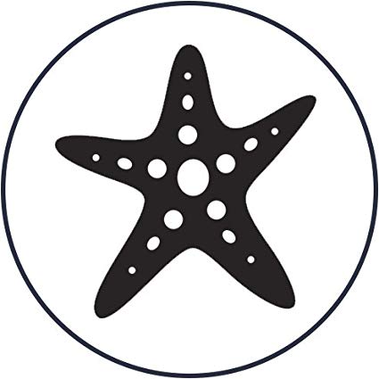 Starfish clipart simple cartoon. Amazon com ocean sea