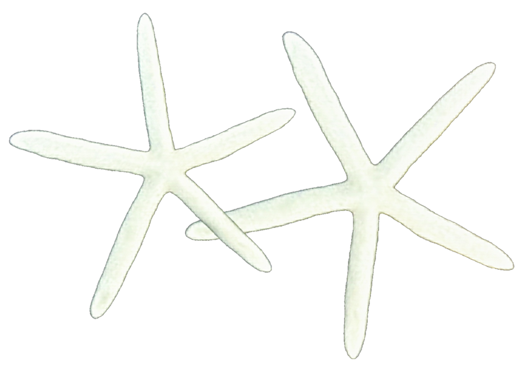 Starfish skinny