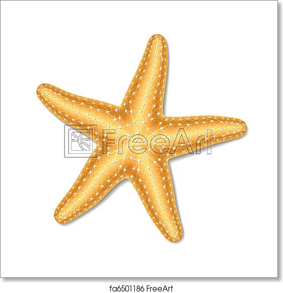 Free art print of. Starfish clipart square object