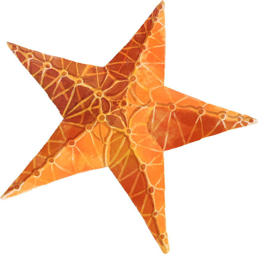 starfish clipart square object