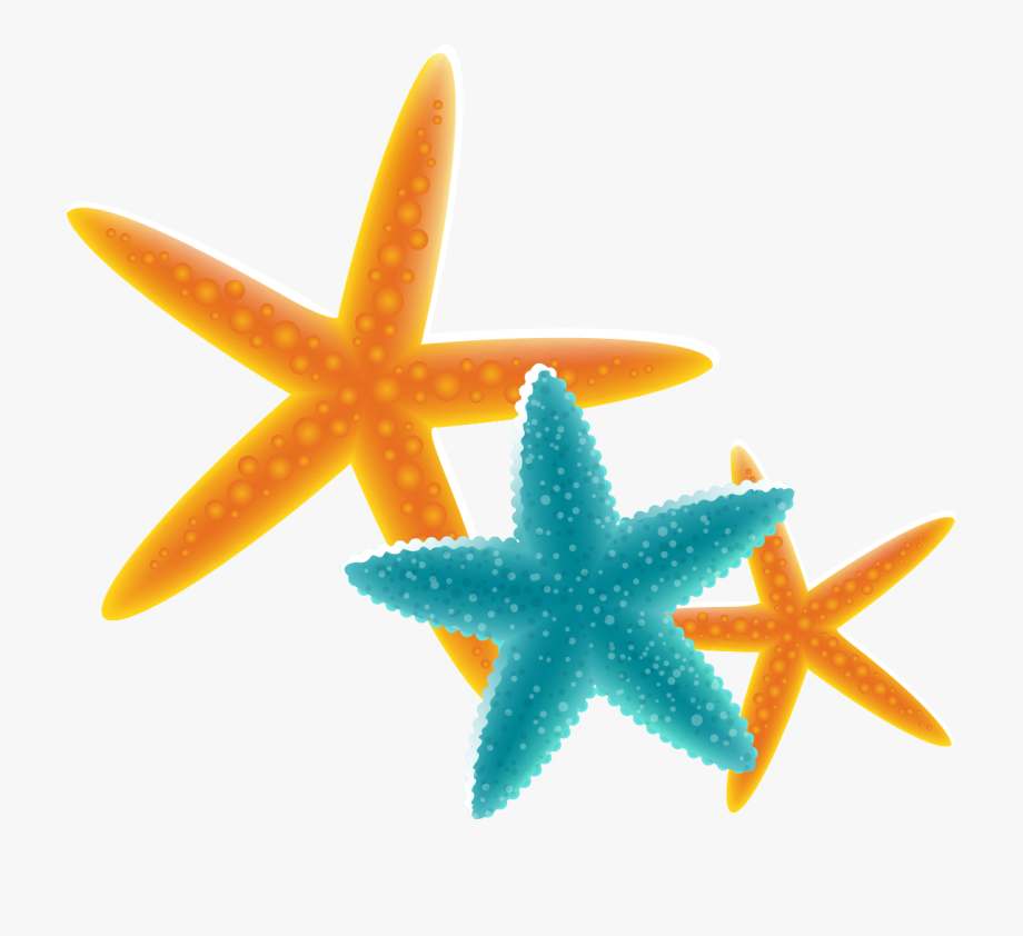 Starfish clipart star shaped object. Free content clip art