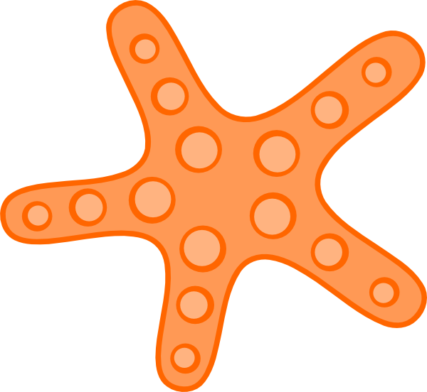 Starfish starfish drawing