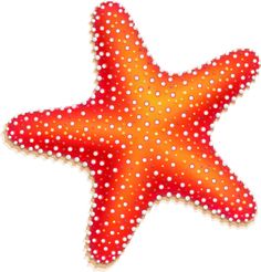 starfish clipart stylized
