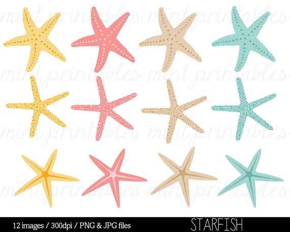 Starfish clipart summer. Clip art holiday beach