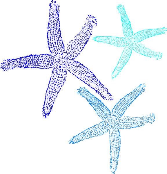 Starfish clipart symmetrical. Prints in blue clip