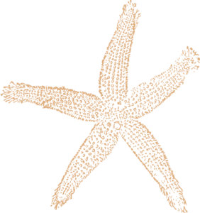 Starfish clipart tan. Wedding cliparts zone 
