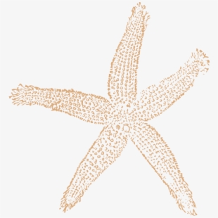 Free of cliparts silhouettes. Starfish clipart tan