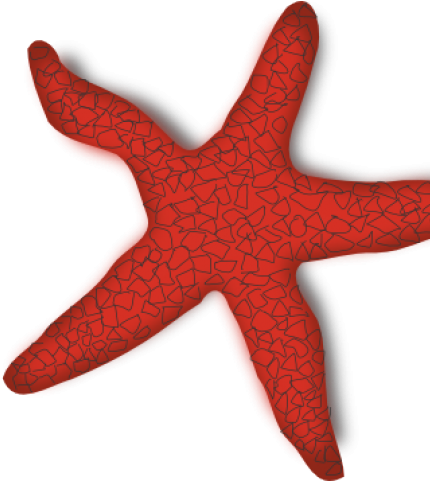 starfish clipart things