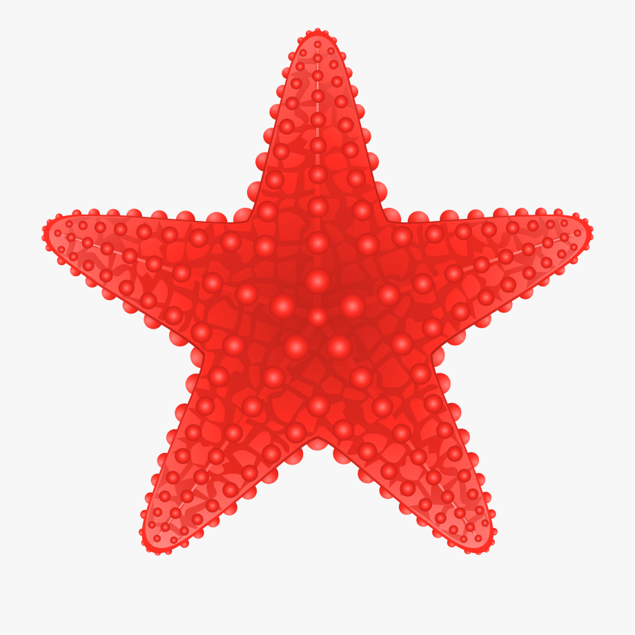 starfish clipart transparent background