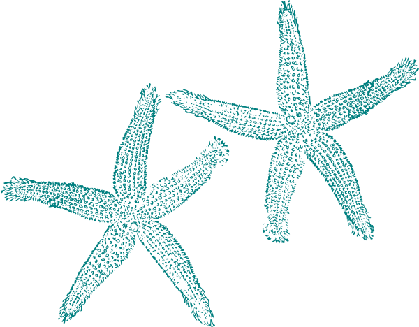 starfish clipart turquoise starfish