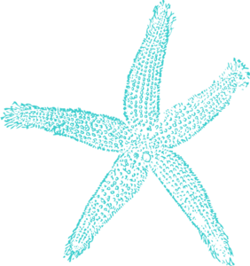 starfish clipart turquoise starfish