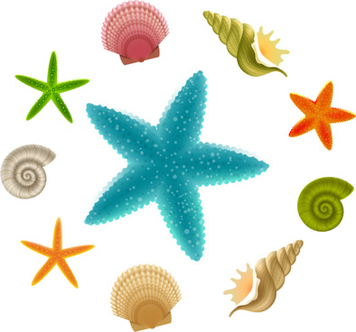 Free images download . Starfish clipart vector