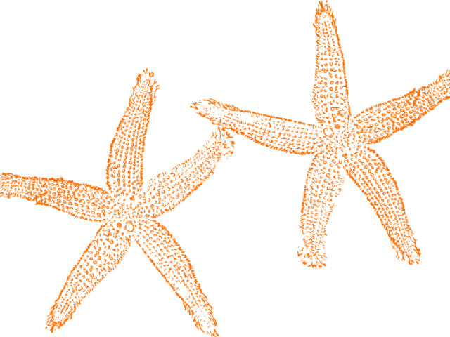 Free on dumielauxepices net. Starfish clipart wedding