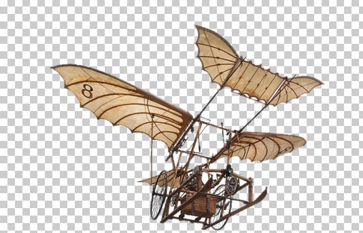 Steampunk clipart airplane wing. Ornithopter aircraft flight bird
