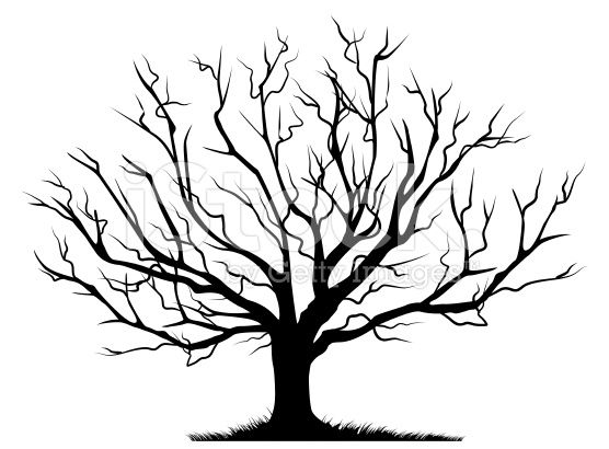 Stick clipart bare branch. Deciduous tree with empty
