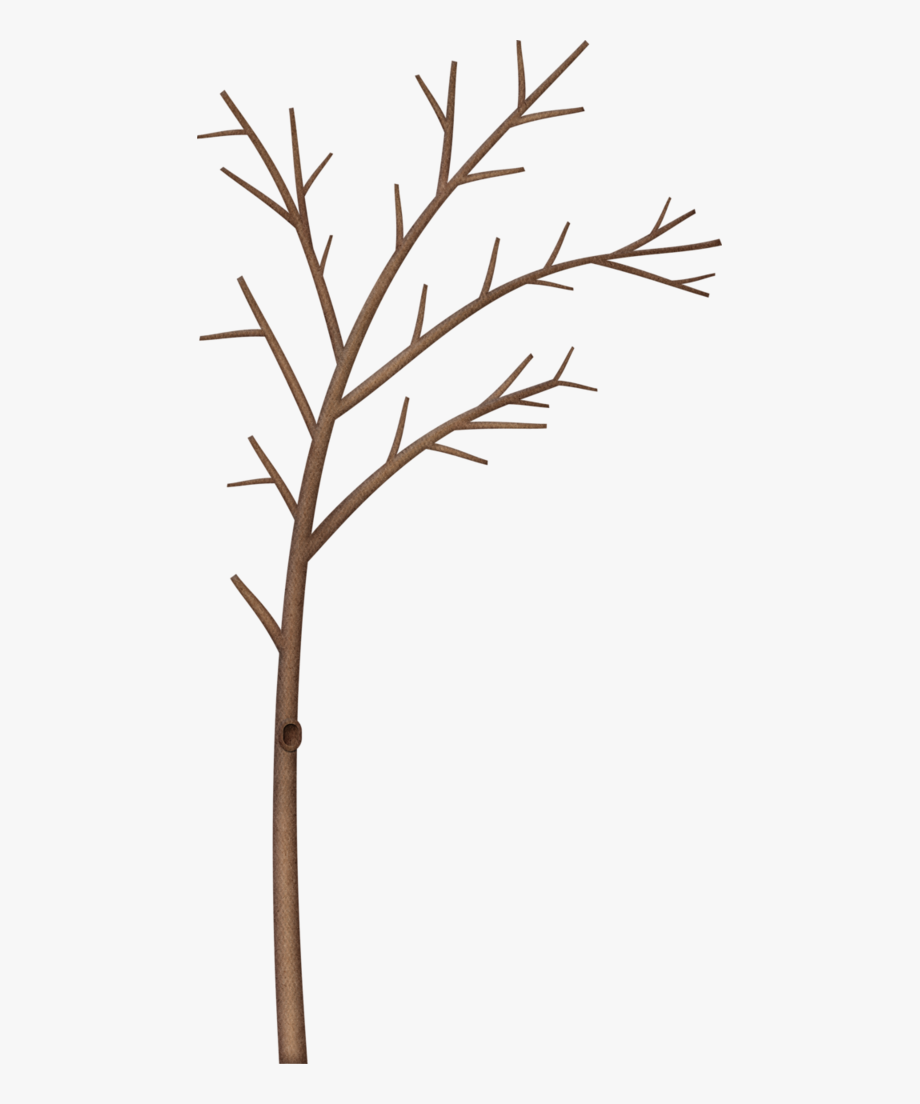 Lorax trees png winter. Stick clipart bare branch